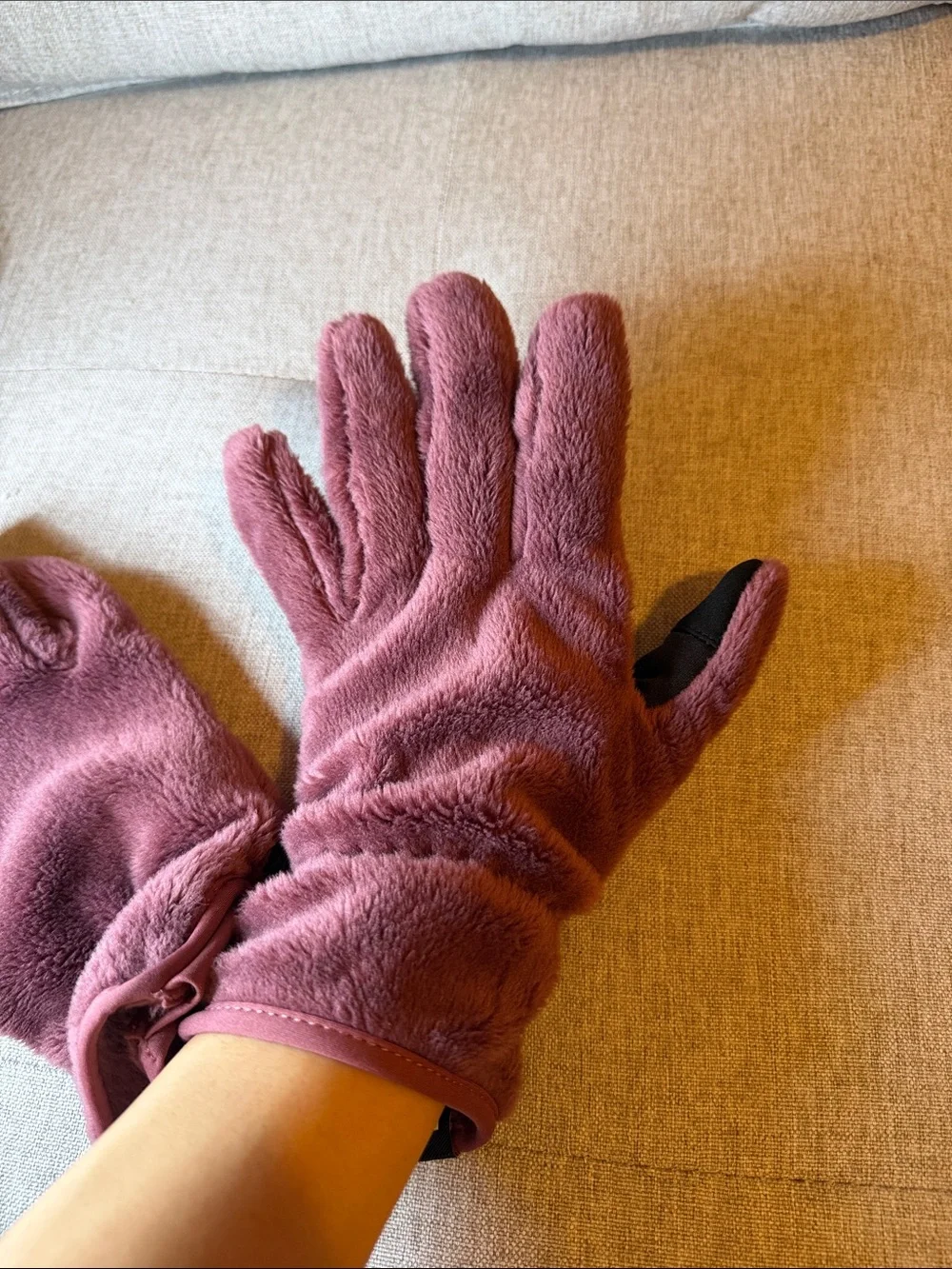 The northface gloves